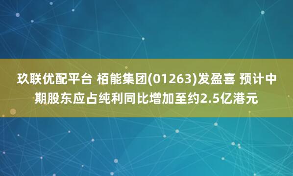 玖联优配平台 栢能集团(01263)发盈喜 预计中期股东应占纯利同比增加至约2.5亿港元