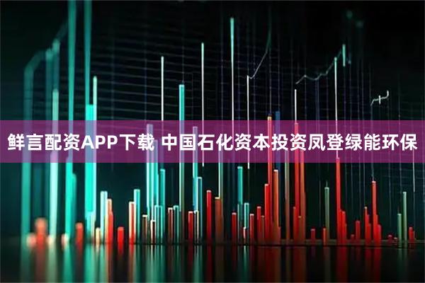 鲜言配资APP下载 中国石化资本投资凤登绿能环保