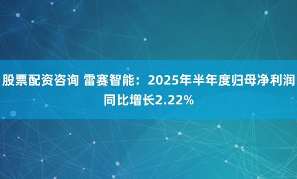 股票配资咨询 雷赛智能：2025年半年度归母净利润同比增长2.22%