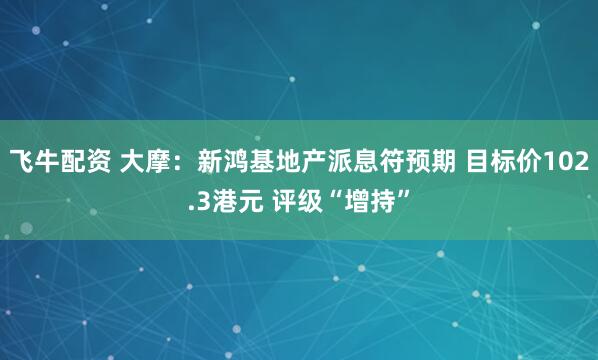 飞牛配资 大摩：新鸿基地产派息符预期 目标价102.3港元 评级“增持”